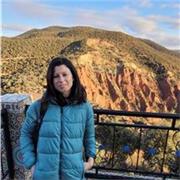 Insegnante di lettere alla scuola media offre lezioni di italiano, latino, aiuto compiti